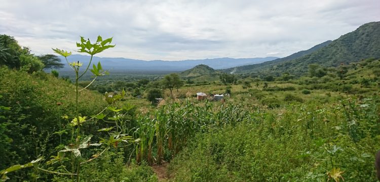 Kenya